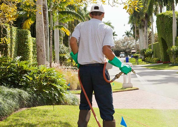 About Newell PA Pest Control Pros